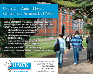 Hawk - Handouts and Brochures - Creative Design Agency